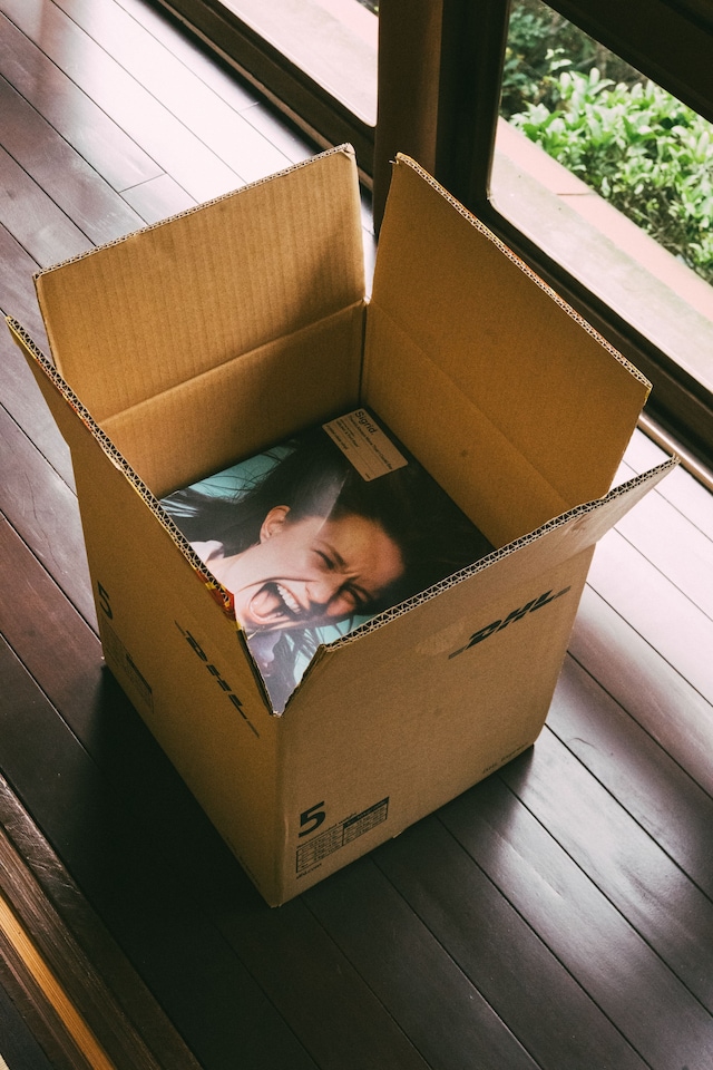 Copy of open Box_Sigrid x DHL_Japan - selections - 0