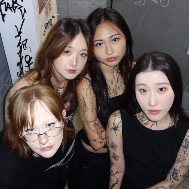 CATSCRATCH (New York)