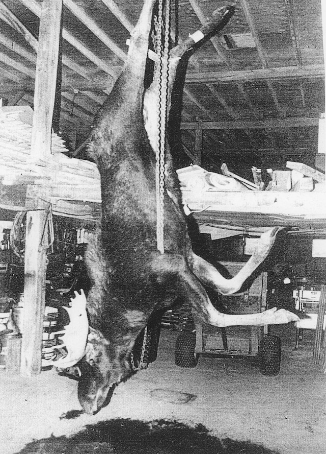 Pia Paulina Guilmoth and Jesse Bull Saffire, Fishworm 2