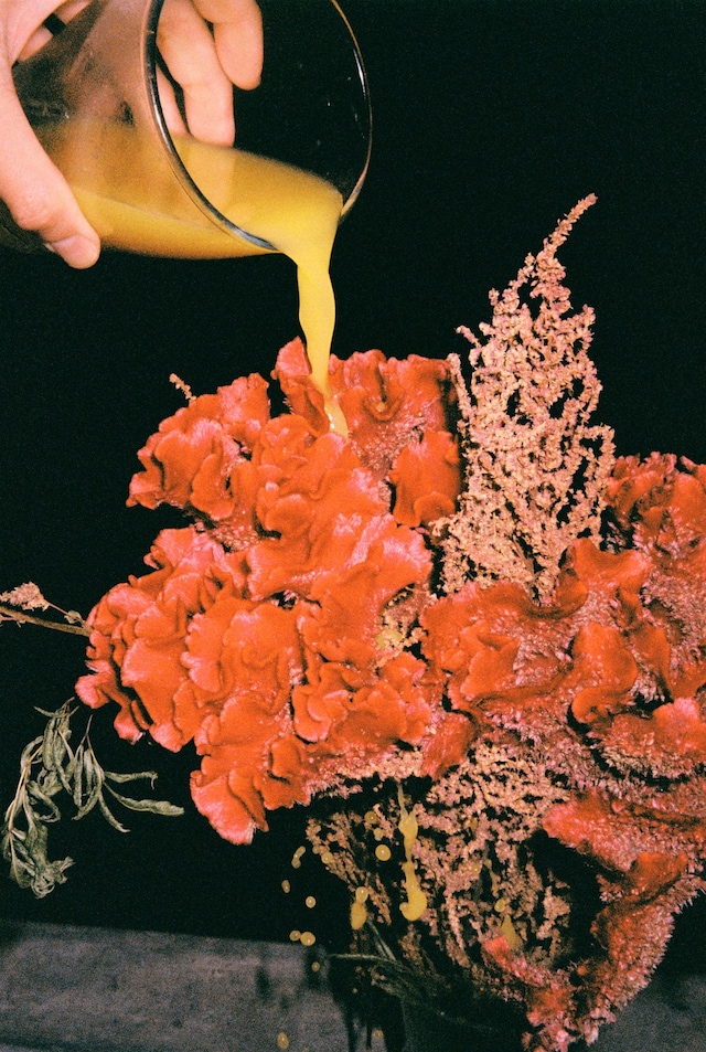 Lin Zhipeng (aka No.223), Amour Défendu 8