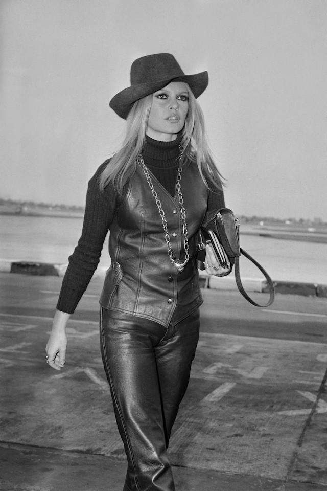 Brigitte Bardot style moments 18