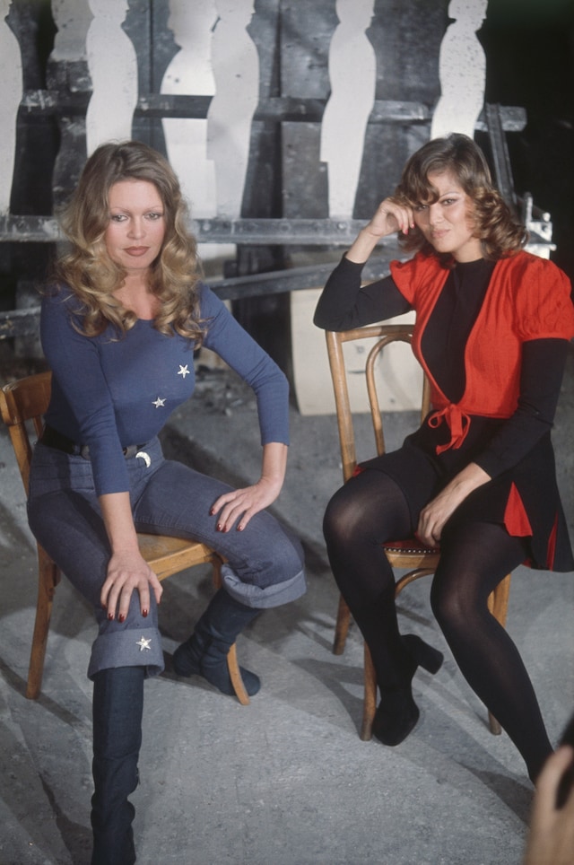 Brigitte Bardot style moments 20