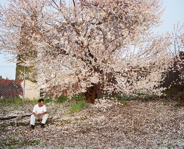 Larry Sultan, Water Over Thunder: Selected Writings 