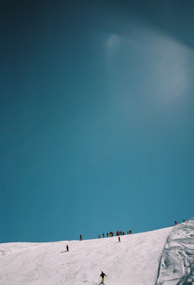 CORTINA by Arturo and Bamboo 1