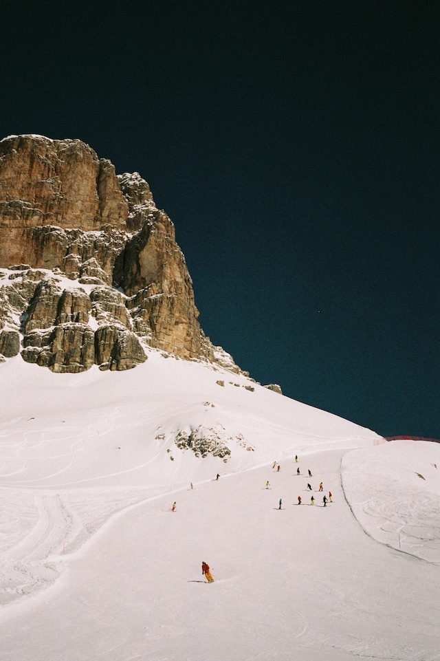 CORTINA by Arturo and Bamboo 2