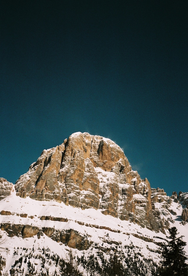 CORTINA by Arturo and Bamboo 4