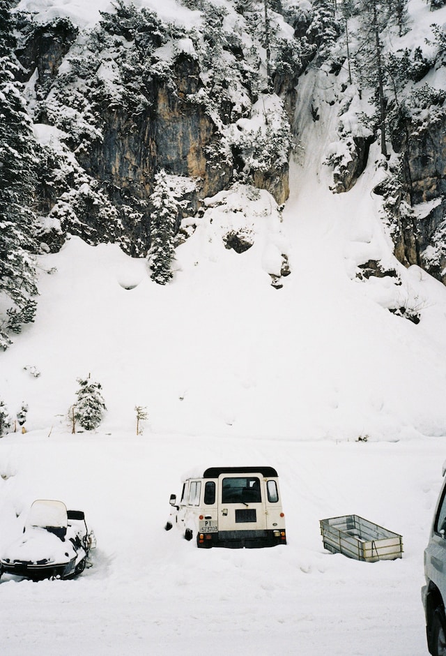 CORTINA by Arturo and Bamboo 12