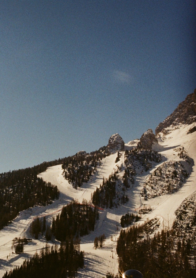 CORTINA by Arturo and Bamboo 17