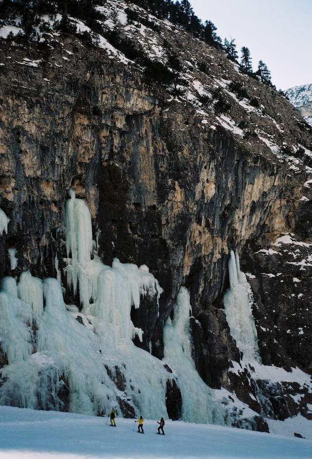 CORTINA by Arturo and Bamboo 23