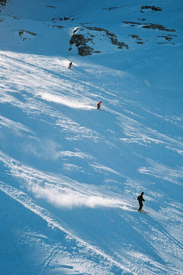 CORTINA by Arturo and Bamboo 24