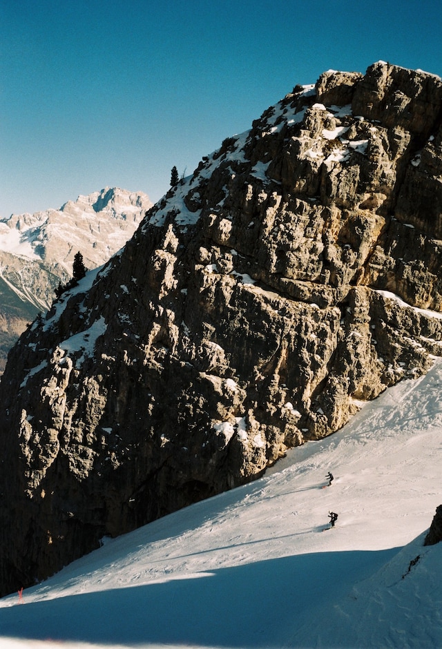 CORTINA by Arturo and Bamboo 27