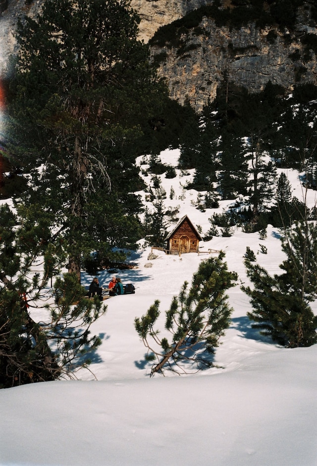 CORTINA by Arturo and Bamboo 28