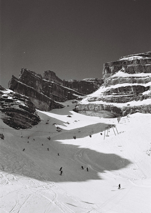 CORTINA by Arturo and Bamboo 50