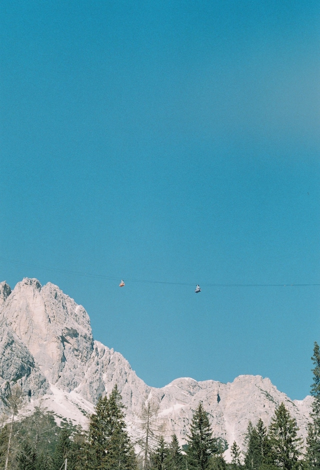 CORTINA by Arturo and Bamboo 54