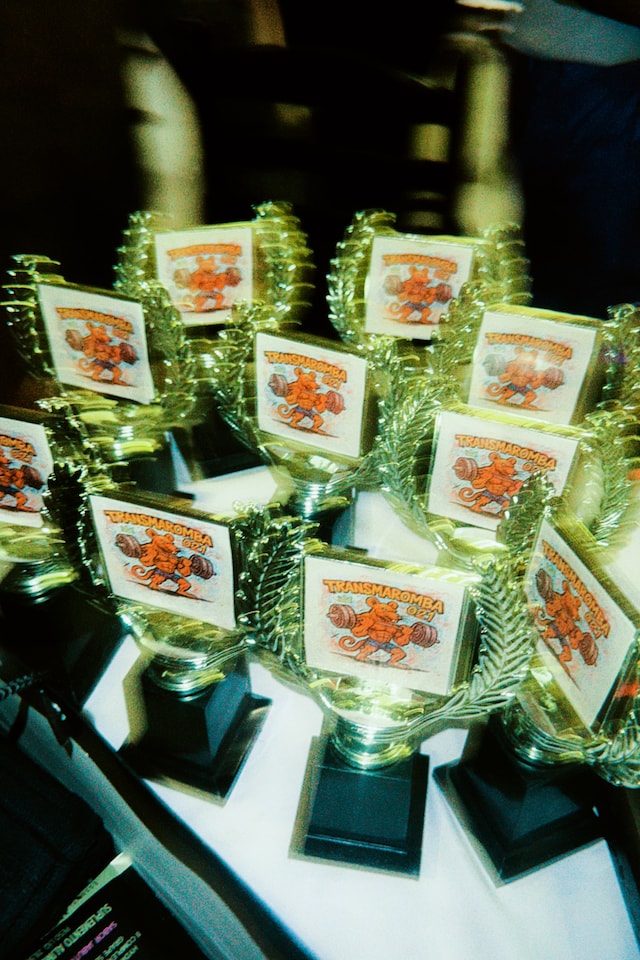 Transmaromba ball 21