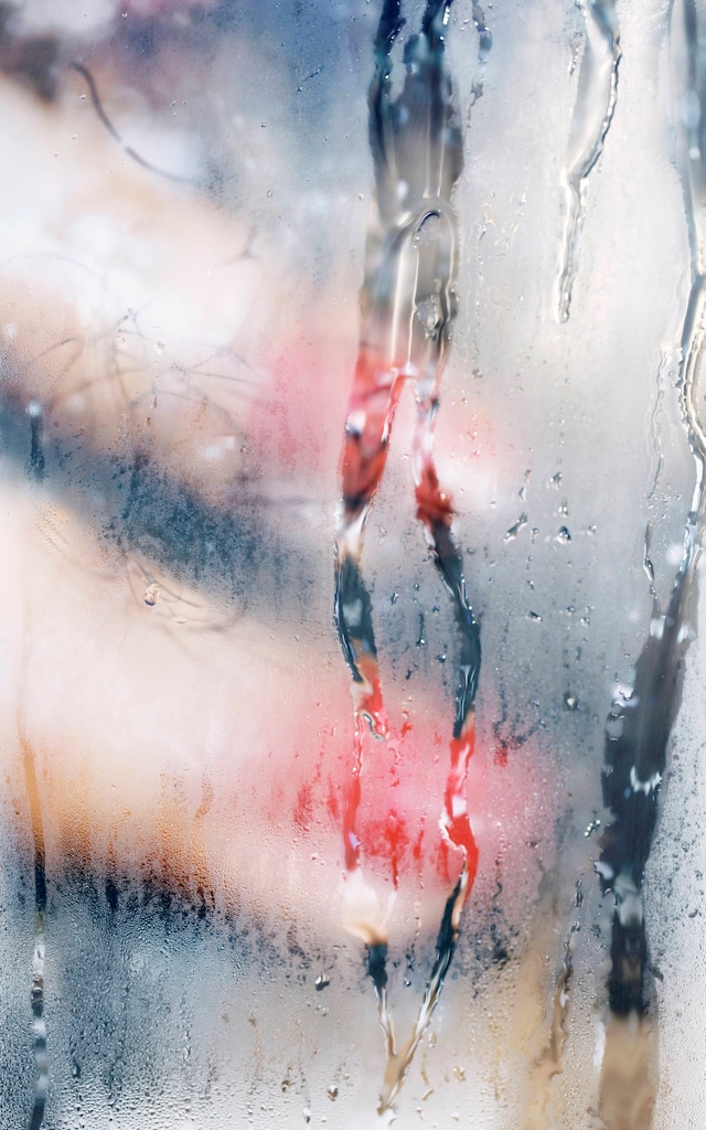 Marilyn Minter 19