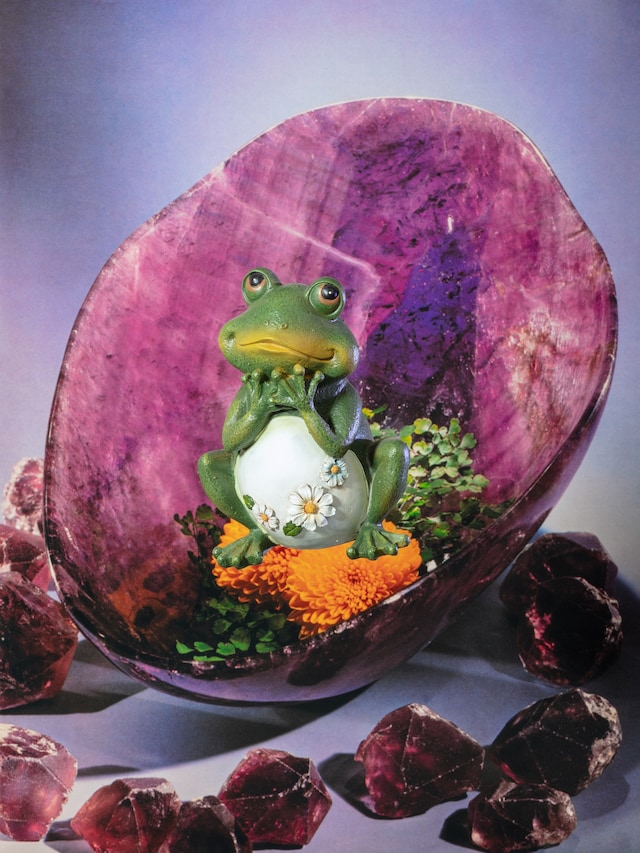 Spring photo book round-up