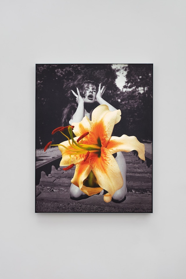 Linder Sterling, Kyotographie 2026 3