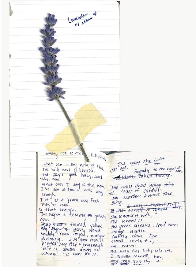 Sophia Peacock - The Way The Light Left Me 9