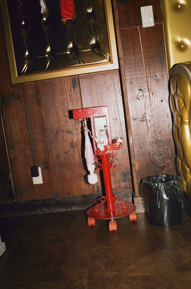 Sofiya Loriashvili, 30 days in Japan 8