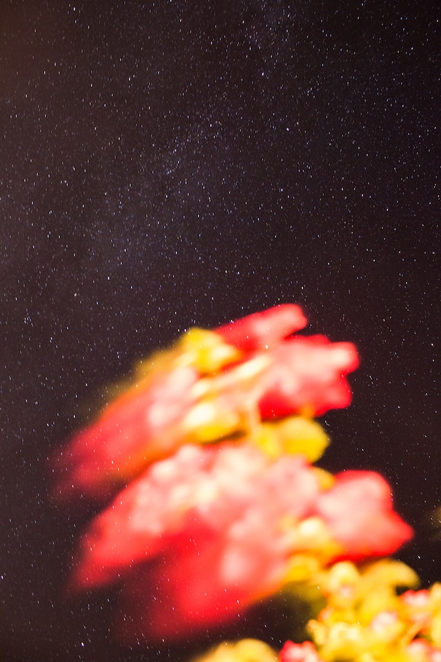 EYE_SKY-36 12