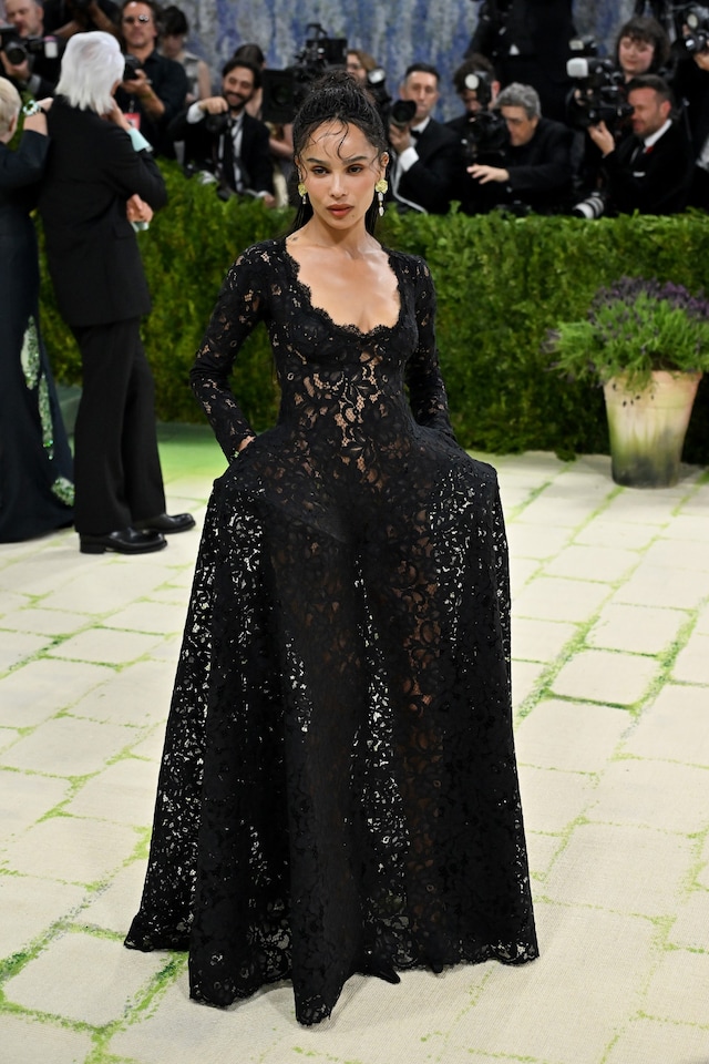 Met Gala 2026 red carpet 9