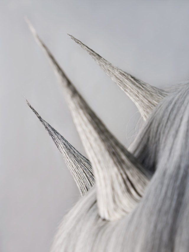 Jenna Sutela, Aeolian Suite 1