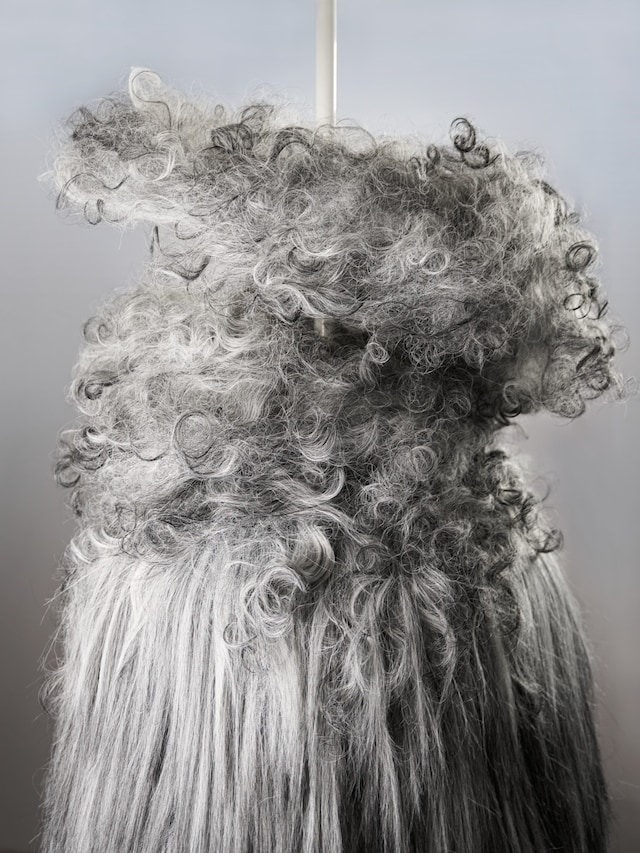 Jenna Sutela, Aeolian Suite 2