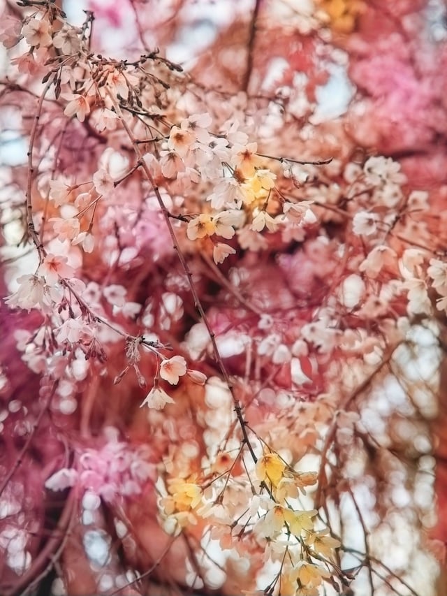 Trevor Paglen, Bloom (#bb837e) (2022) 8