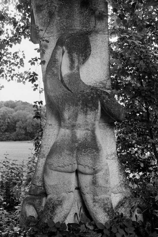 Camille Vivier, MEP Paris retrospective 2026 1