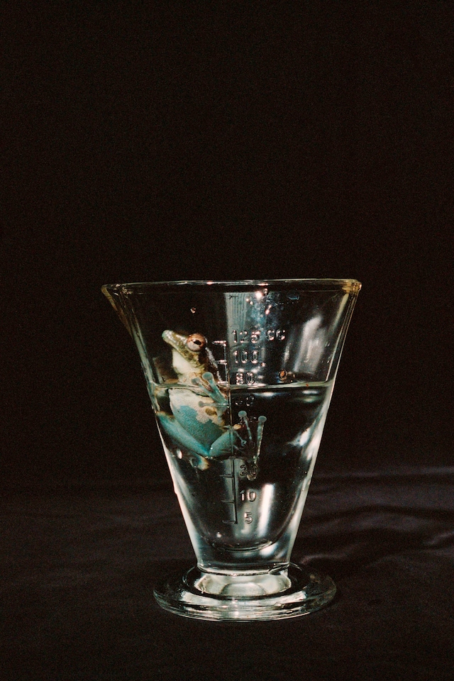 Camille Vivier, MEP Paris retrospective 2026 5