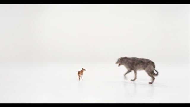 Still from Work No.670: Orson &amp; Sparky, 2007 &#169; Mar 7