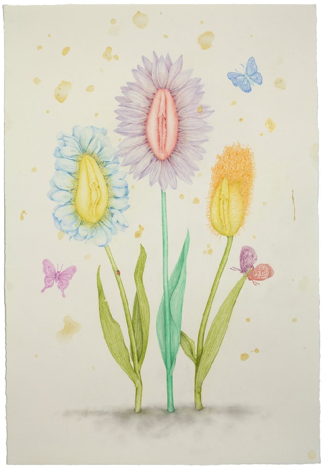 Aurel Schmidt Pussy Flowers I pencil, colored penc 6