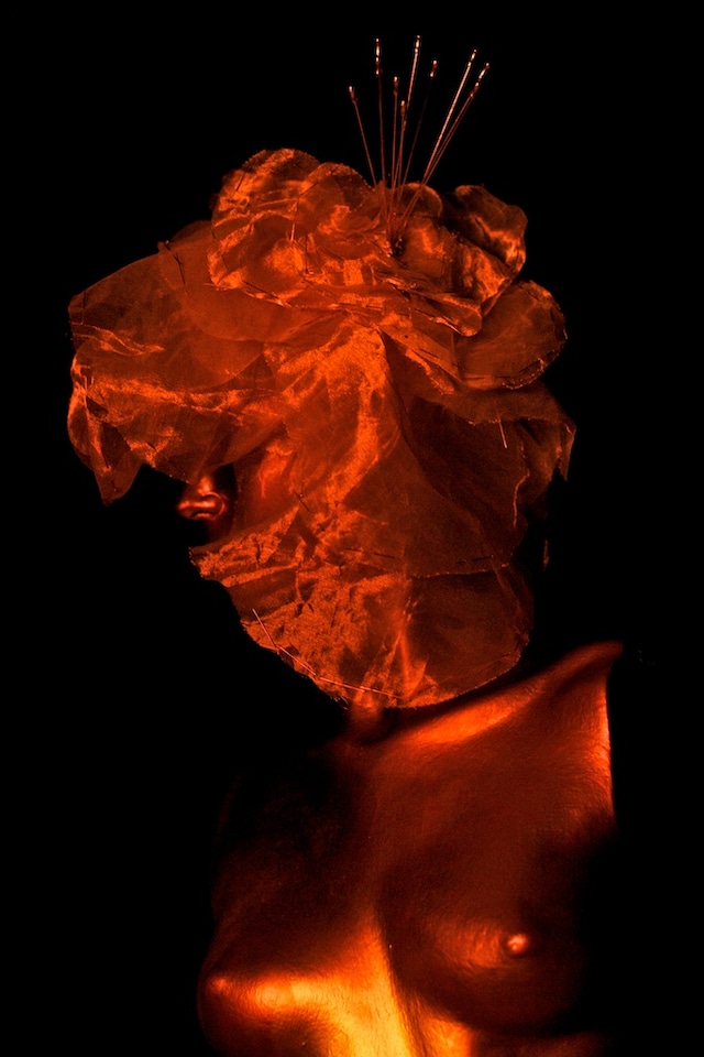 Image 11