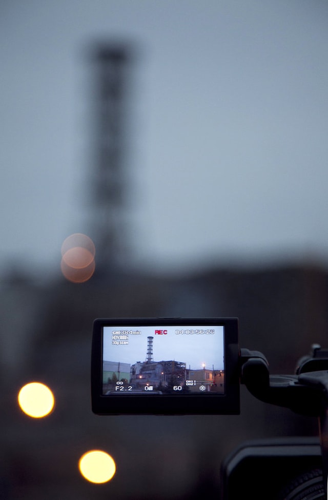 Chernobyl, Camera Focus Plant; 2010 &#169; Diana Thater 3