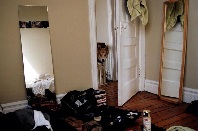 Image 8