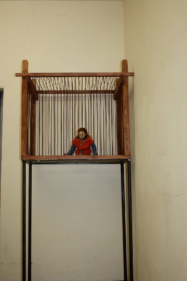 Image 7
