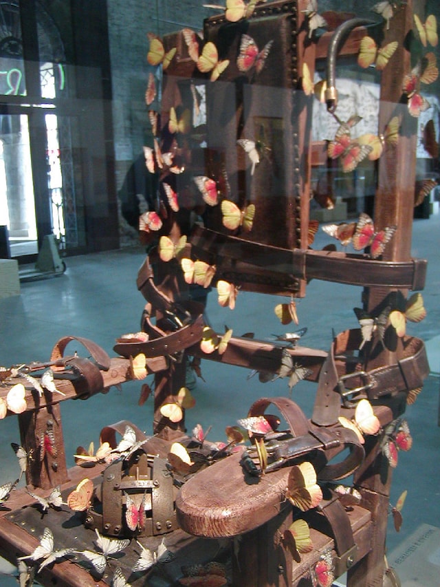 Image 12
