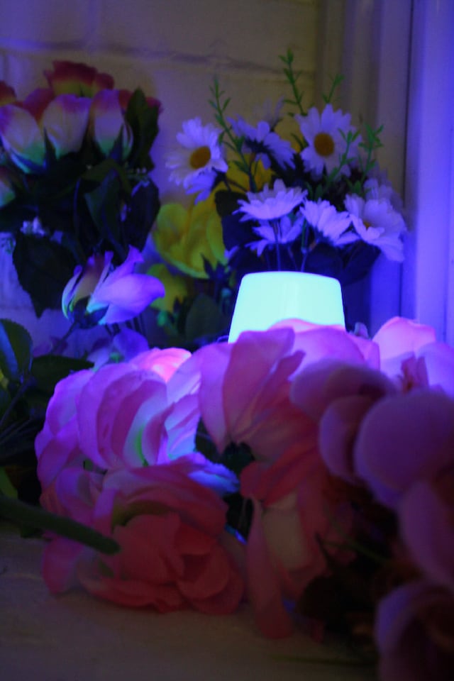 &#169; Arcadia_Missa 0