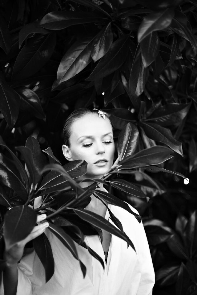 Image 17