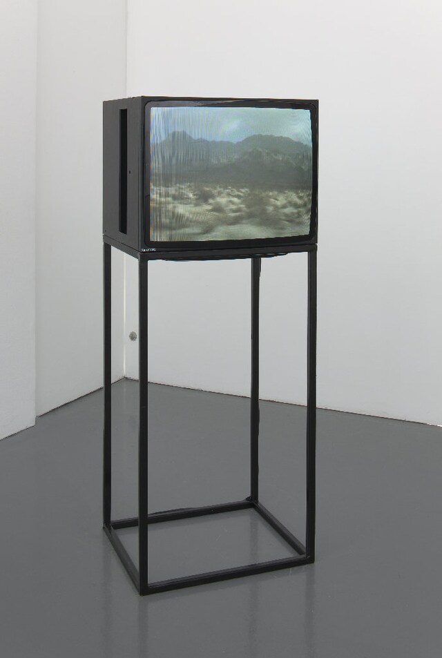 Observed Landscape, 2011 Video 1