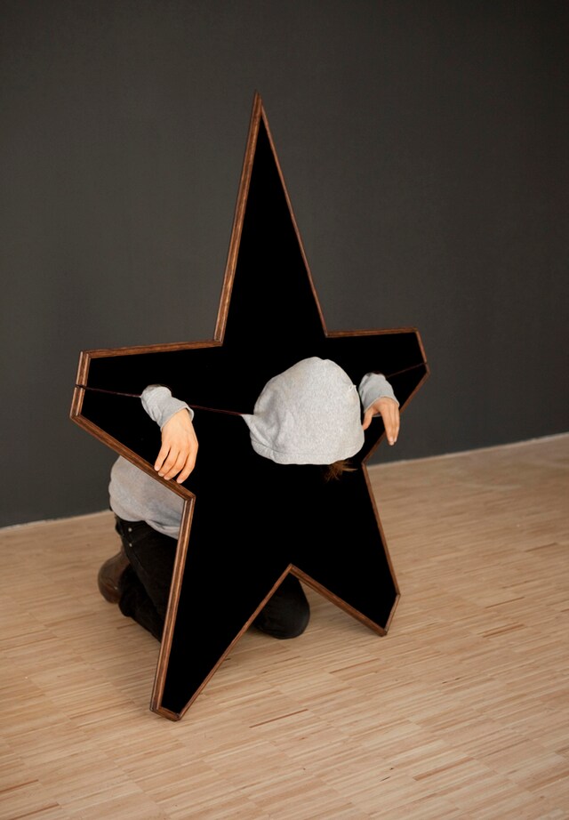 Degenerate General, Steinle Contemporary, 2011 (Mi 0