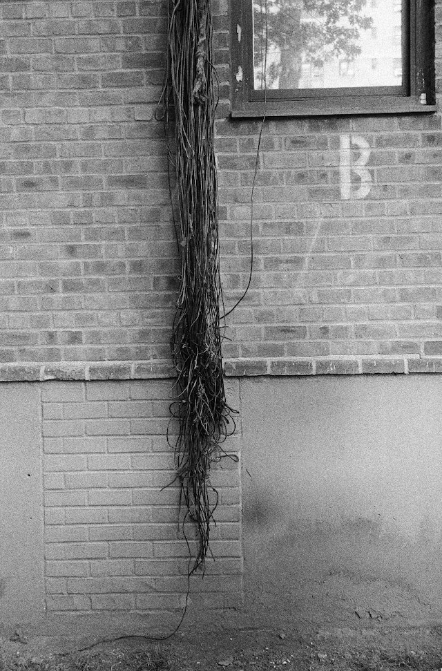 Wires, New York 2007 6