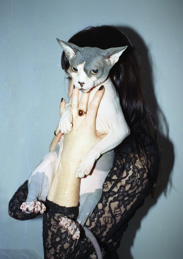 Image 0
