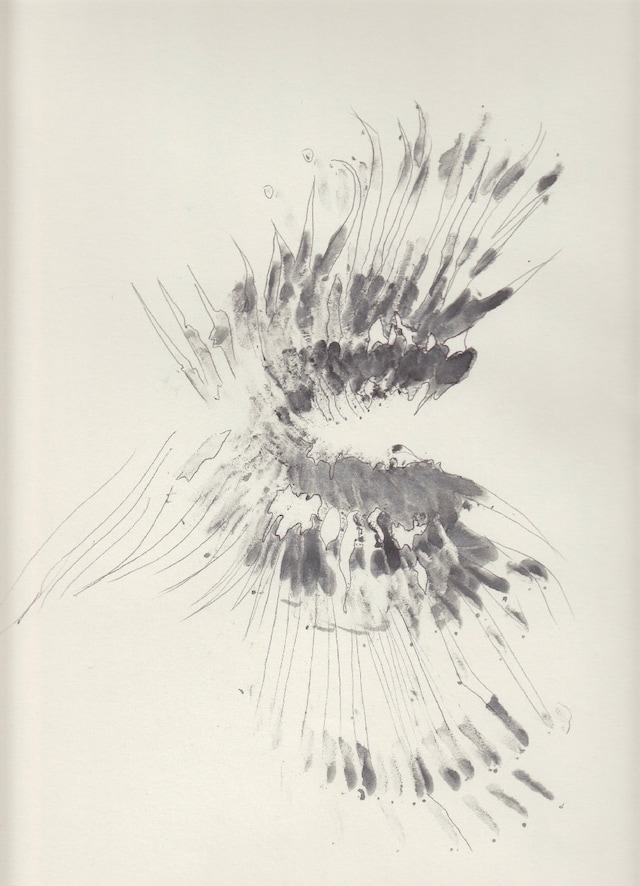 Workbook/research imagery courtesy of PHNX 1