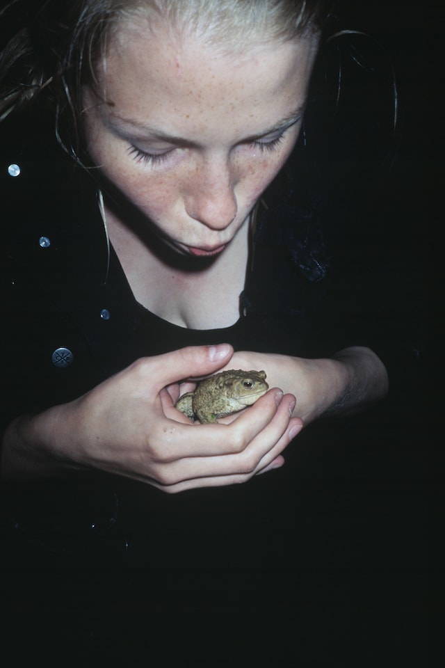 Image 10