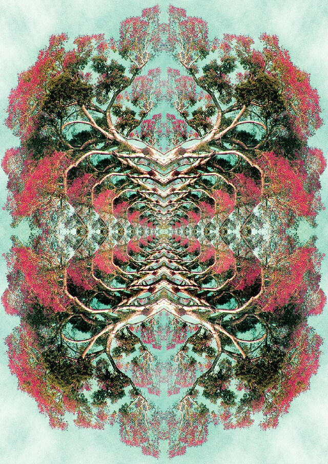 Heidi Andreasen (in collaboration with Tristram Ma 35