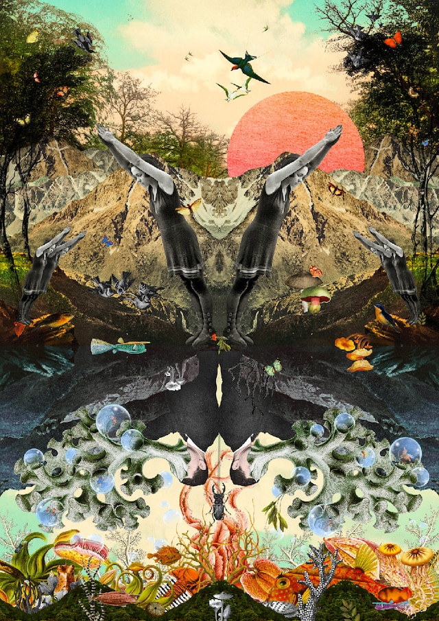 Heidi Andreasen (in collaboration with Tristram Ma 34