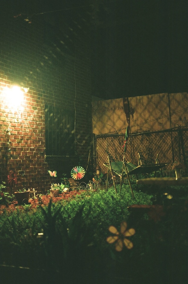 Image 9