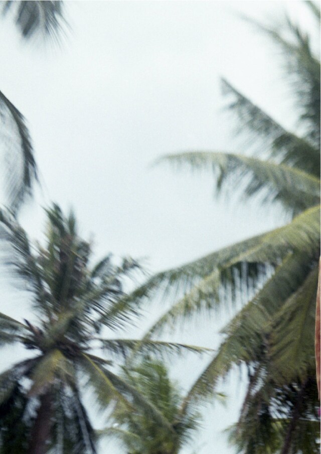 Image 27